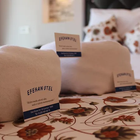 Hotell Efehan *